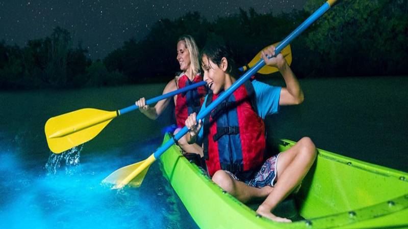 Safety Precautions for Bioluminescence Night Kayaking