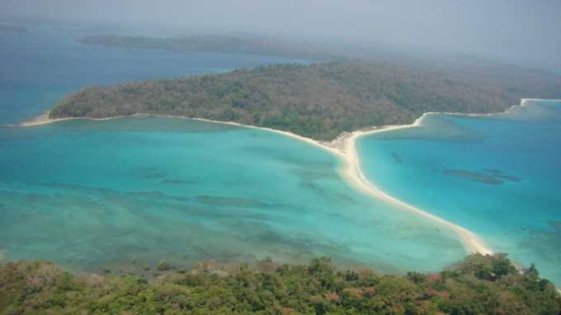 Behold Abundant Wildlife at Rangat Island