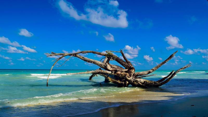 Arrive at Havelock Island