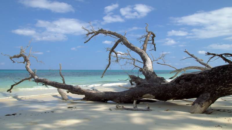 Sightseeing in Havelock Island