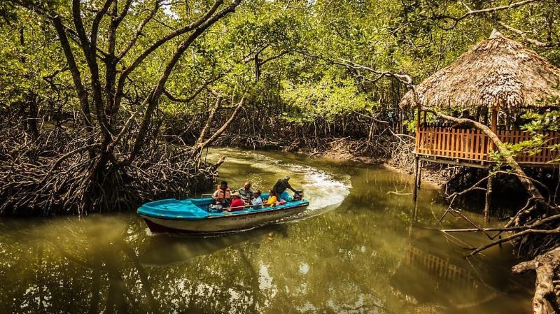 Best Time to Visit Baratang Island