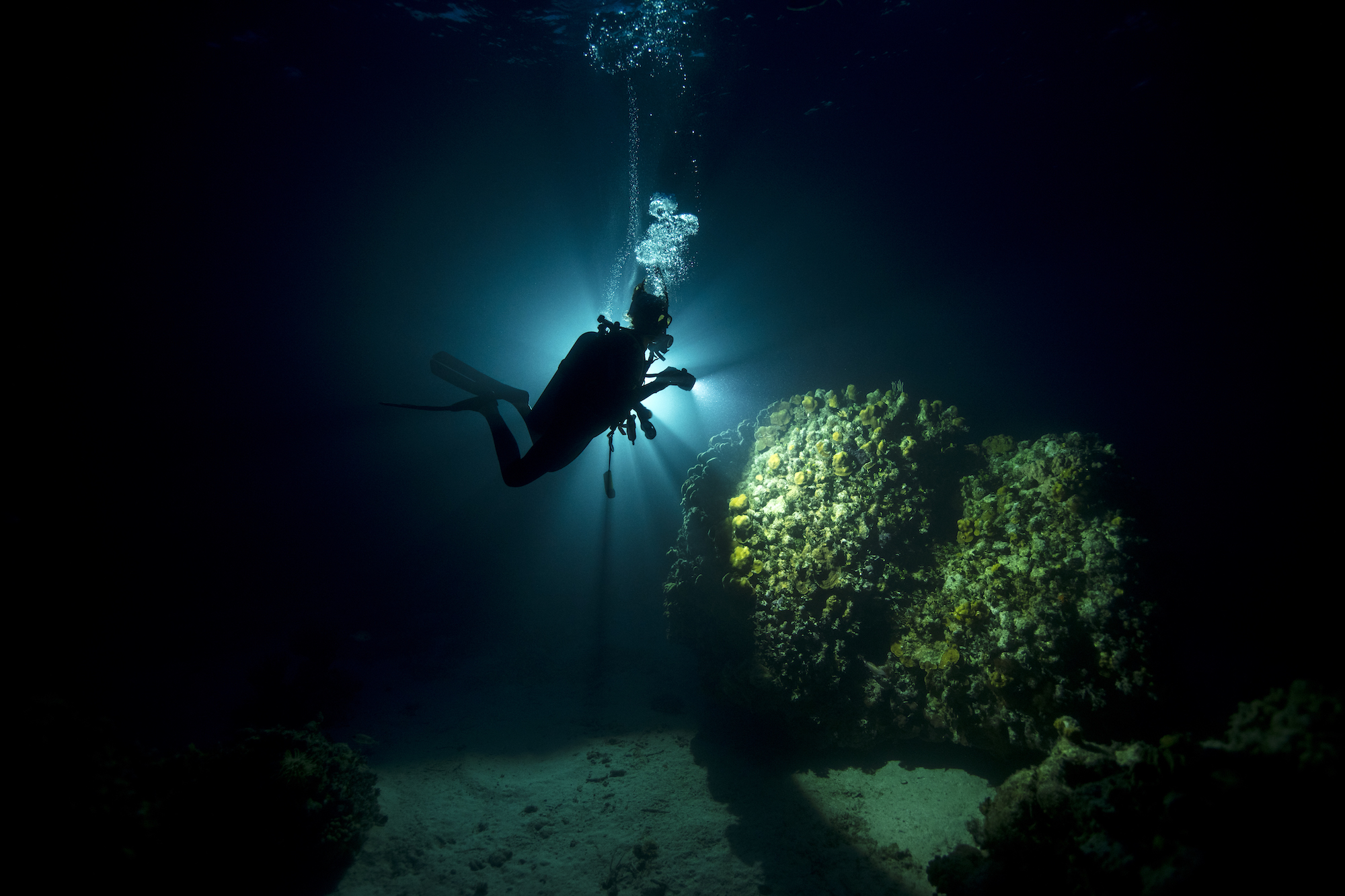 Padi-GrandCayman-03-2018-underwater-3196.jpg