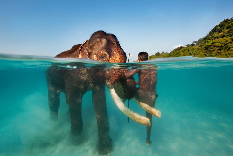 Elephant Beach (Havelock Island)