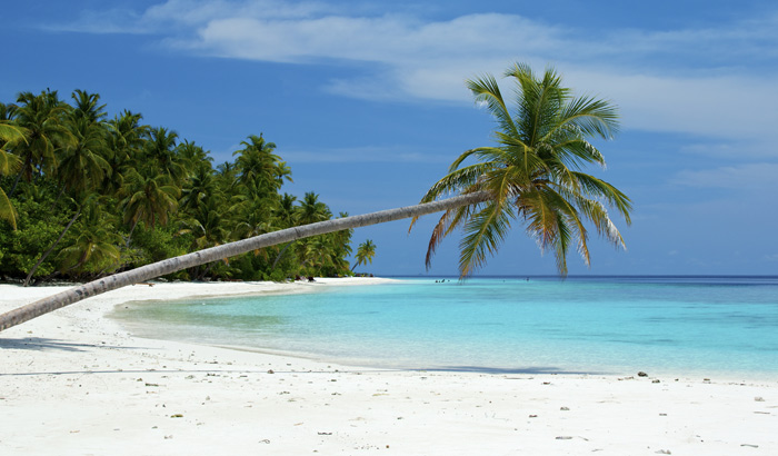 Bharatpur Beach (Neil Island)