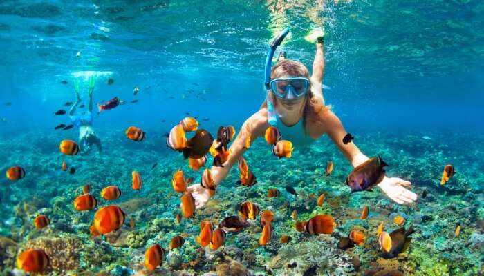 Coevr-for-Snorkeling-In-Andaman.jpg