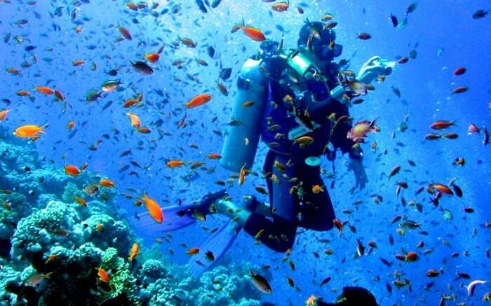 Scuba-diver-with-fishes.jpg