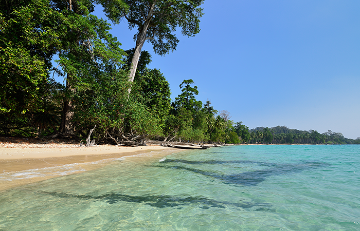 Highlights of Ramnagar Beach, Neil Island