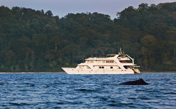 6424428ee81de169_charter_boat_to_barren_island.jpg