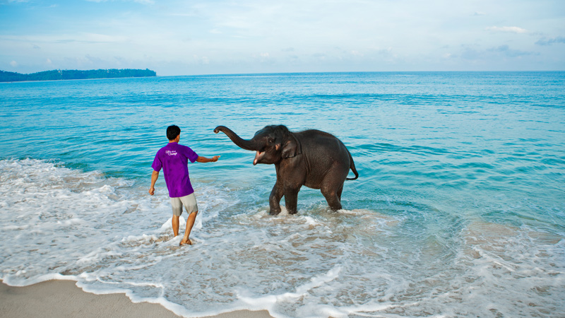 Trekking to the Elephant Beach