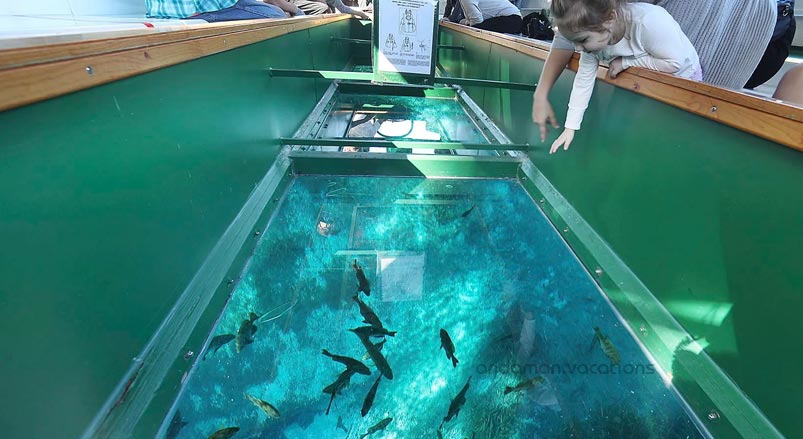 The Procedure of Experiencing a Glass Bottom Boat Ride