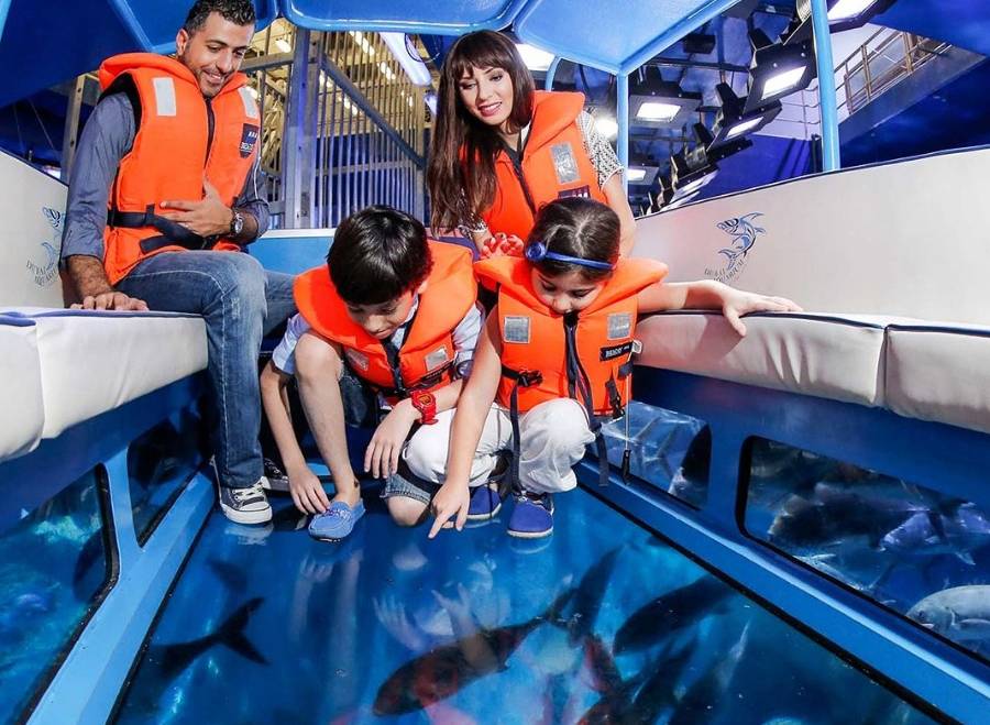 Cost of a Glass Bottom Boat Ride