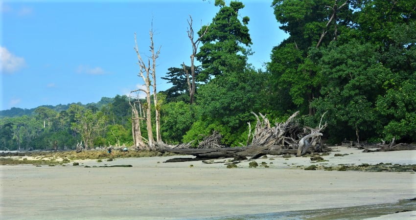 Baludera-Beach-Baratang-Island.jpg