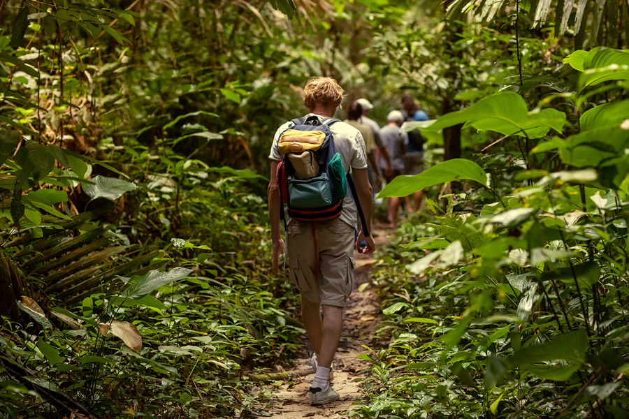 asia_cambodia_jungle_trekking_gallery.jpg