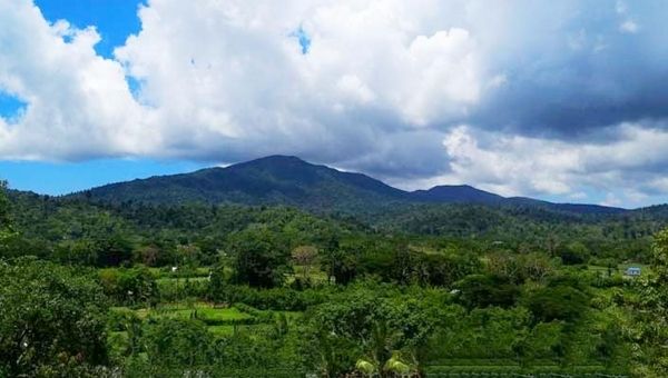 Saddle Peak