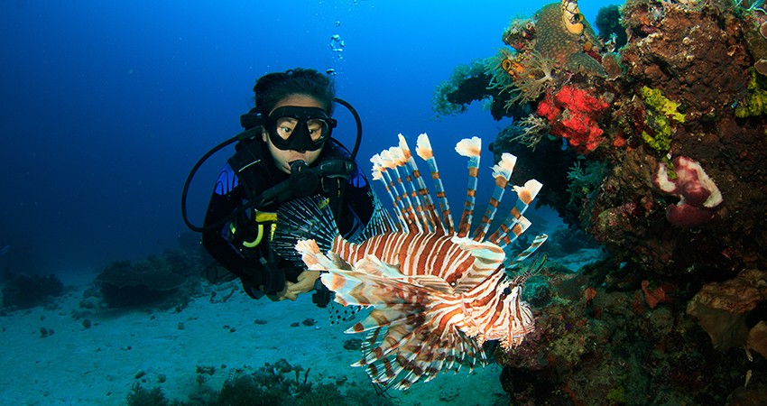 Scuba diving in Neil Island