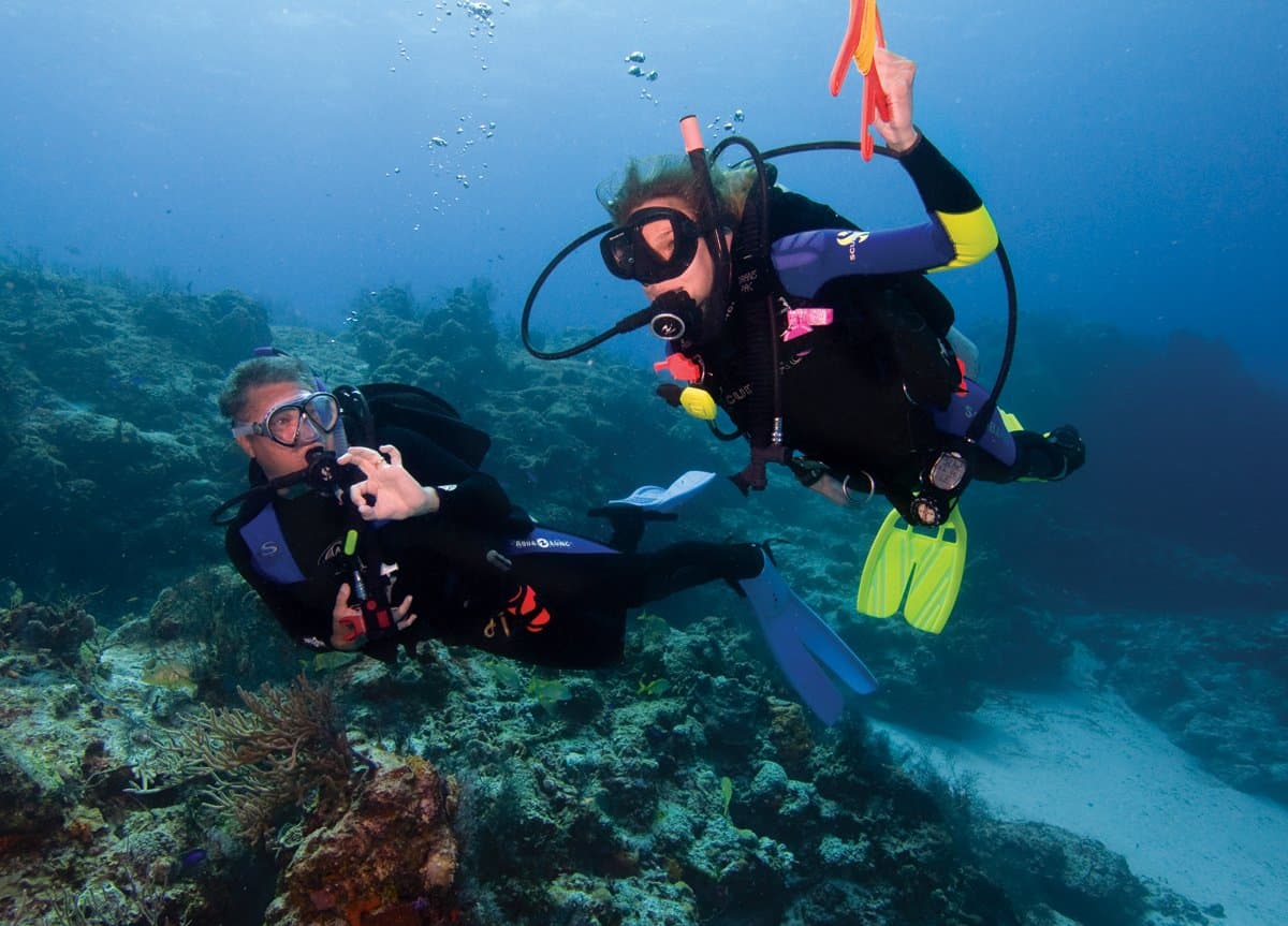 Scuba_Diving.jpg Scuba Diving