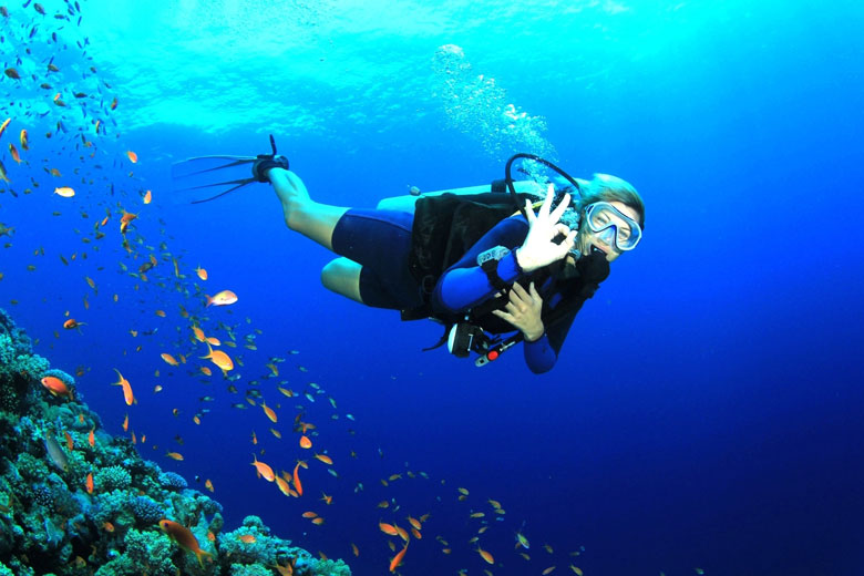 Scuba_Diving_in_South_Button_Island.jpg Scuba_Diving_in_South_Button_Island.jpg