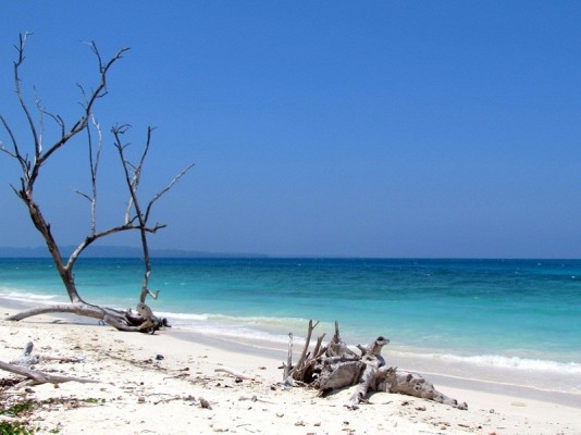 Kala Pathar Beach in Andaman Islands