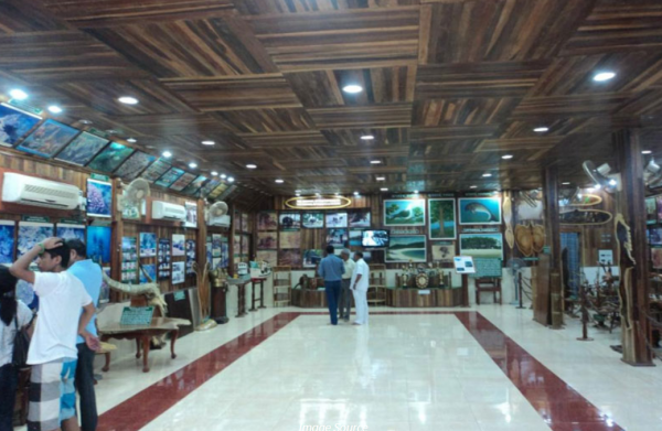 Introducing The Forest Museum Port Blair