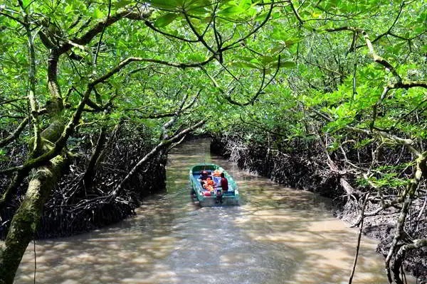 Travel Guide to Baratang Island