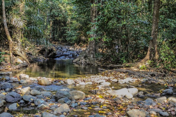 Introducing The Saddle Peak National Park in Diglipur