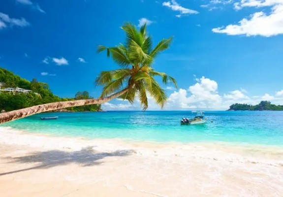Andaman Tour Packages From Bangalore
