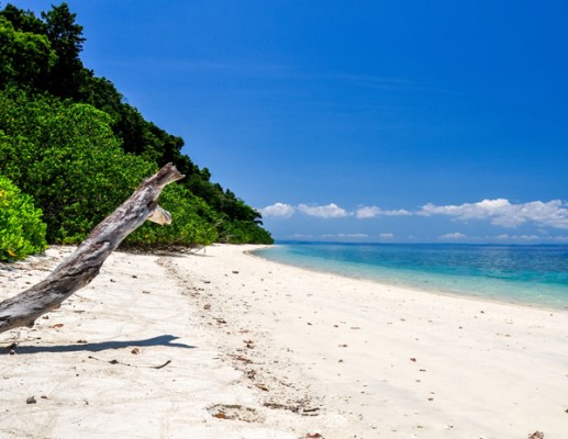 Travelling To The Andaman Islands in COVID-19 Times