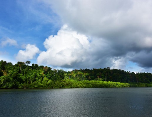 Sightseeing Spots in Baratang Island