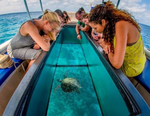 Glass Bottom Boat Ride in Andaman Islands