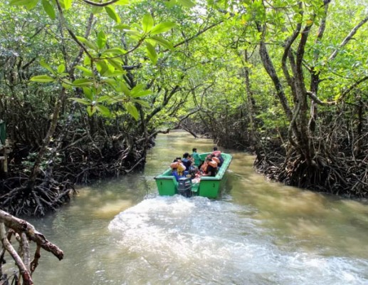 Speed Boat Ride in the Mangrove in Baratang Island