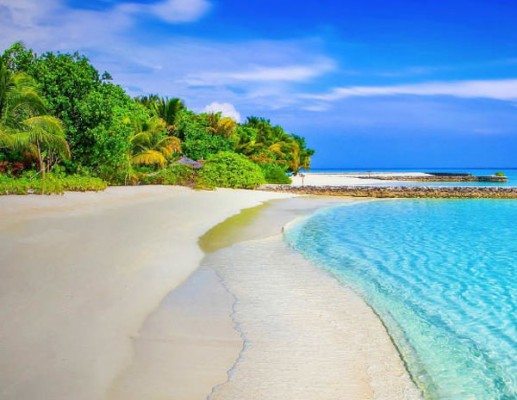 Cost of corporate tours in the Andaman Islands