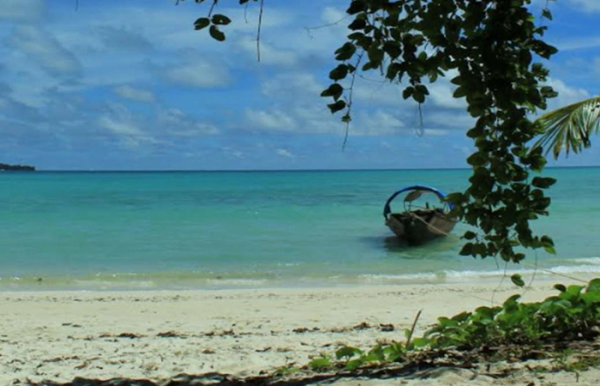 Pathi Level Beach at Diglipur Island