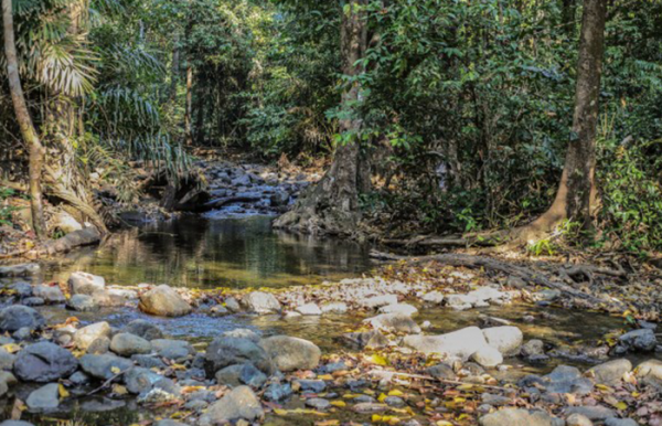 Saddle Peak National Park at Diglipur Island