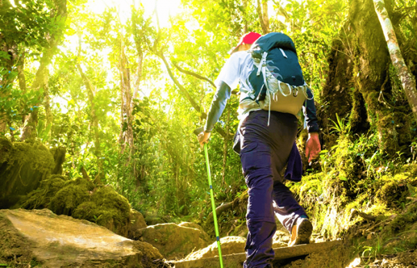 Elephant Beach Trekking Trip at Havelock Island