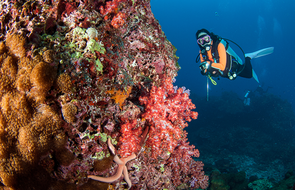 Nemo Reef at Havelock Island