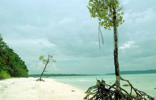 Vijay Nagar Beach at Havelock Island