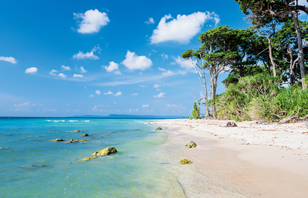 Sitapur Beach at Neil Island