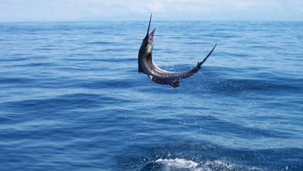 Fishing in Barren Island