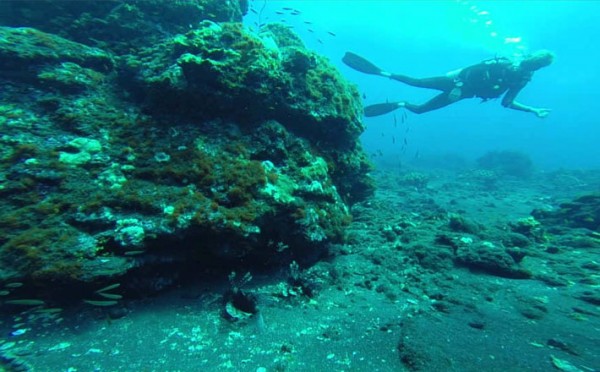 Snorkelling & Diving on Barren Island