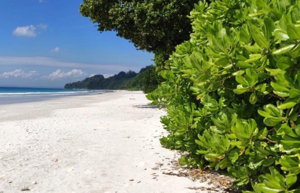 About Havelock Island