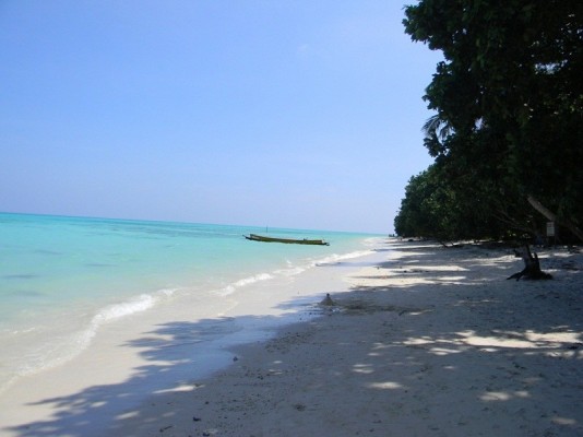 Trekking in Havelock Island