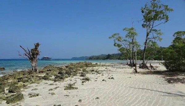 Top Things To Do In Havelock Island