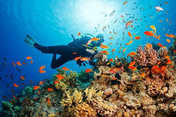 Top 10 Reasons for Scuba Diving in the Andaman Islands