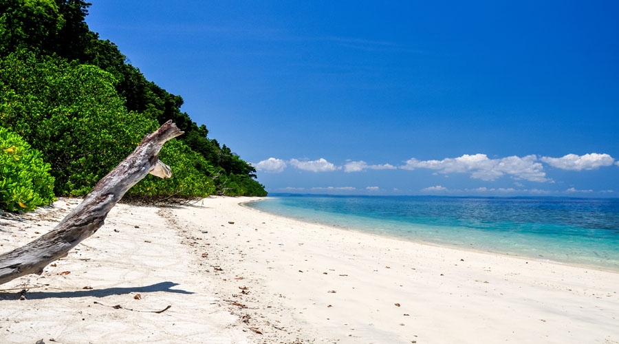 Andaman Best Seller Tour Package for 6 Nights & 7 Days
