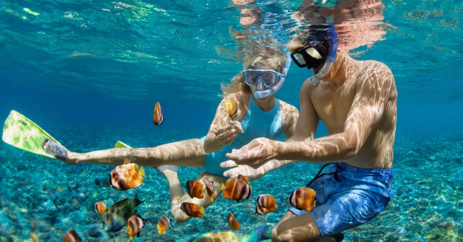Charter Boat for Diving + Snorkelling for Couple