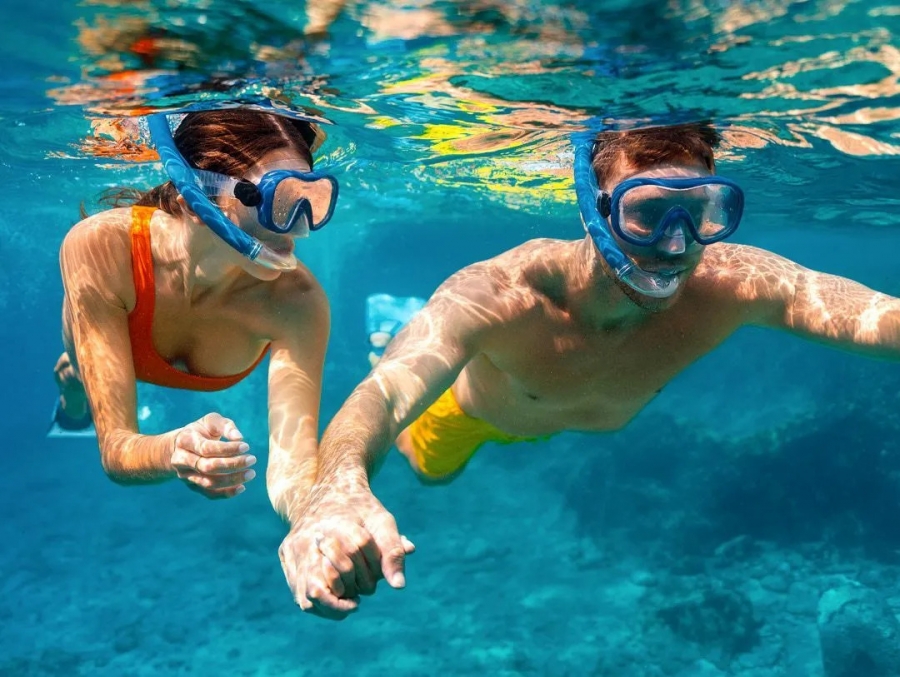 Charter Boat for Diving + Snorkelling for Couple