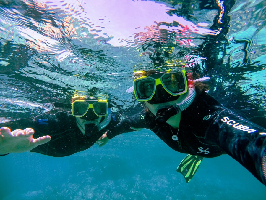 Charter Boat for Diving + Snorkelling for Couple