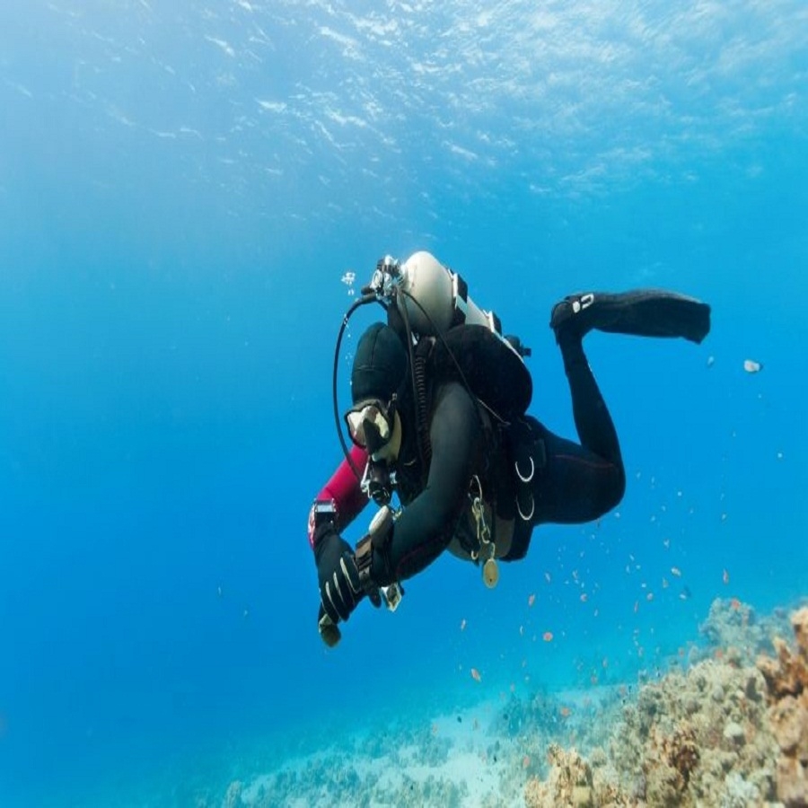 Diving Delight at Havelock Island