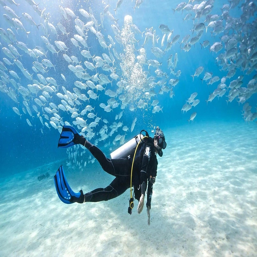 Top Scuba Diving Destinations in Andaman