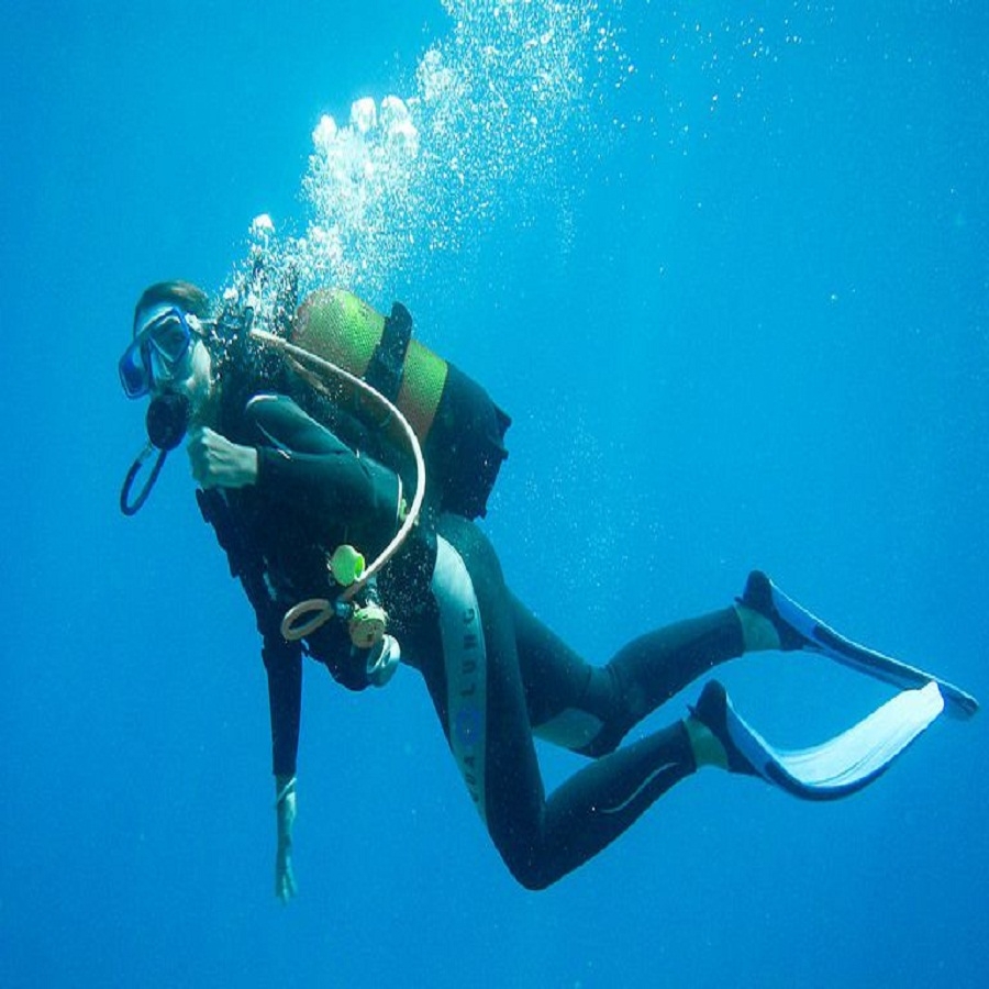 Diving Delight at Neil Island